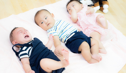 取得可能な資格・免許