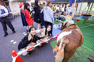 動物ふれあい体験